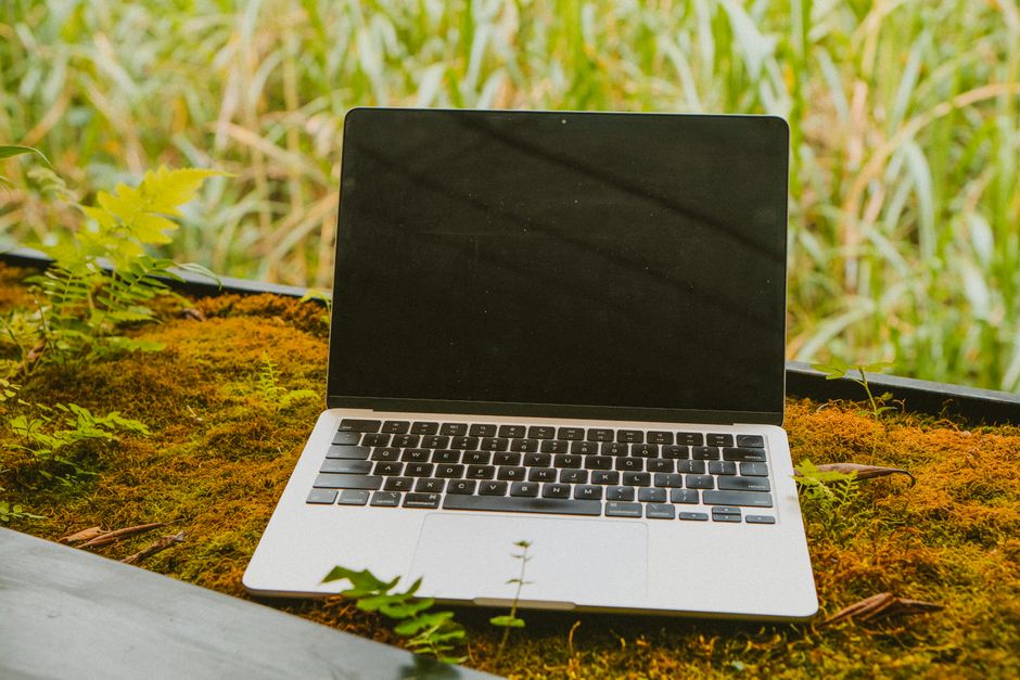 A silver laptop resting on moss with green foliage in the background, blending technology with nature.